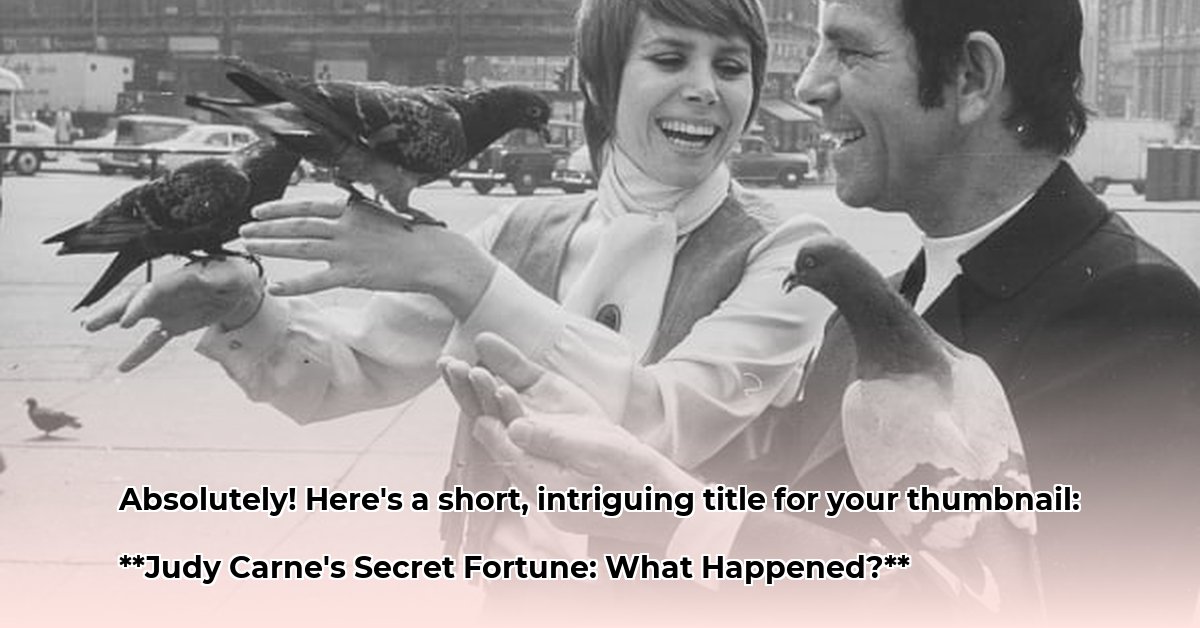 judy-carne-net-worth